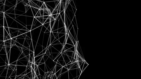 Abstract Black and White Grid Web Pattern Background Stock Footage 339104659