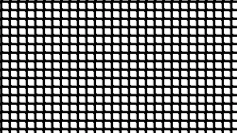 Abstract Black and White Grid Pattern with Dynamic Dot Transitions. Stock Footage 339131629