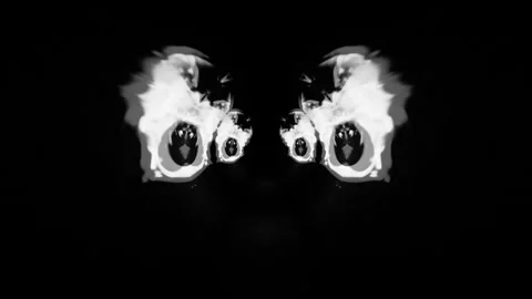 Abstract  Black and White  Image of Wings Stock Footage 289135718