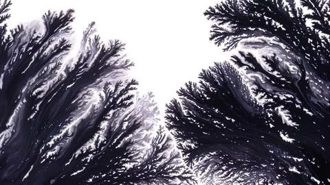 Abstract Black and White Ink Fractal Branching Texture Resembling Coral and Tree Stock Footage 339660796
