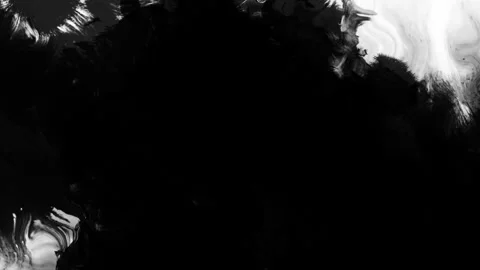Abstract Black and White Ink Swirl in Motion Creating a Mesmerizing Fluid Dan Vídeos de archivo 341922520