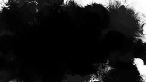 Abstract Black and White Ink Splash Art with Organic Flowing Patterns Stock Footage 341922526
