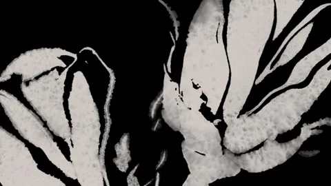 Abstract black and white ink figure, seamless loop Stock Footage 346767596