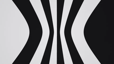 Abstract black and white lines create a dynamic visual Stock Footage 338233767