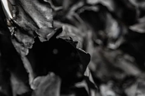 Abstract black and white macro shot of burnt charred paper and ash texture Stock Photos