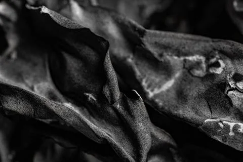Abstract black and white macro shot of burnt charred paper and ash texture Stock Photos