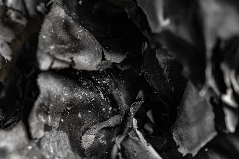 Abstract black and white macro shot of burnt charred paper and ash texture Stock Photos