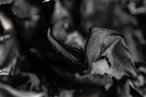 Abstract black and white macro shot of burnt charred paper and ash texture Stock Photos