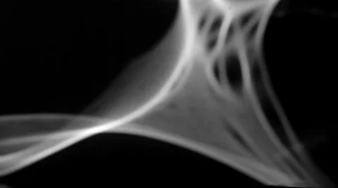 Abstract black and white moving shape. Analog reflection. Playing with the mirro Stock Footage 50872559