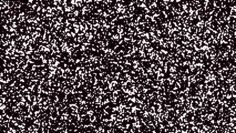 Abstract black and white noise texture background loop for motion graphics Stock Footage 342158294