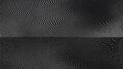 Abstract Black and White Optical Pattern with Swirling Lines and Textured D.. Stock Footage 300904371
