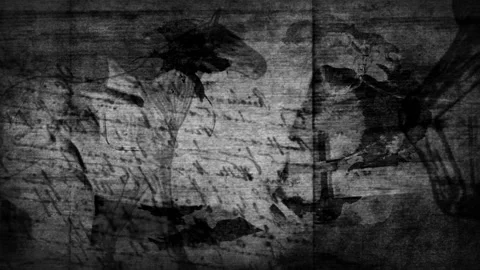 Abstract black and white papyrus of horses Stock Footage 214836806
