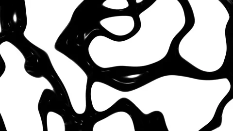 Abstract black and white patterns in motion Stock Footage 341435266