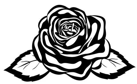 Abstract black and white rose. Close-up isolated on white background Stock Illustration