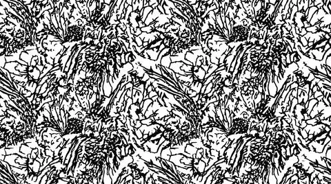 Abstract black and white seamless pattern drawing sketch organic style. Stock Illustration