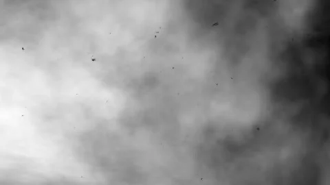 Abstract Black and White Smoke with Floating Particles Stock Footage 293046812