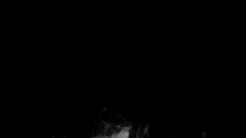 Abstract Black and White Smoke against Dark Background in Motion Stock Footage 341780975