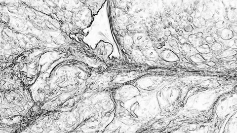 Abstract Black and White Stone Texture for Background 2 Stock Footage 318035401
