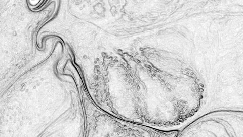 Abstract Black and White Stone Texture for Background 16 Stock Footage 318249238