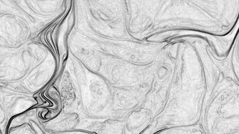 Abstract Black and White Stone Texture for Background 19 Stock Footage 318491052