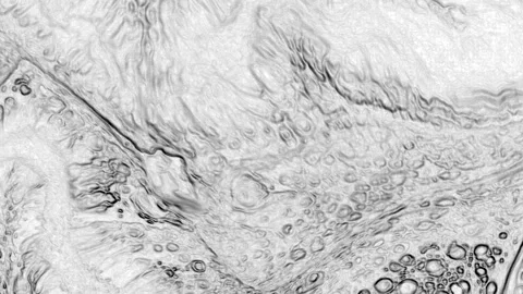 Abstract Black and White Stone Texture for Background 31 Stock Footage 318932267