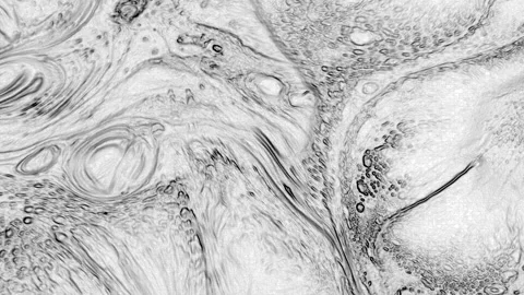 Abstract Black and White Stone Texture for Background 30 Stock Footage 318932288