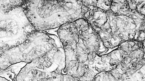 Abstract Black and White Stone Texture for Background 37 Stock Footage 319497210