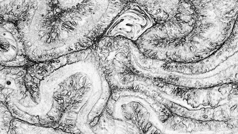 Abstract Black and White Stone Texture for Background 33 Stock Footage 319497588