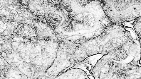 Abstract Black and White Stone Texture for Background 34 Stock Footage 319497684