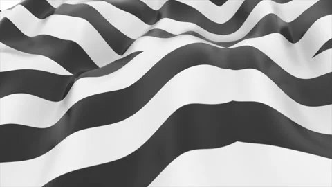 Abstract black and white striped background, 4K minimalistic black and white Stock Footage 243649291