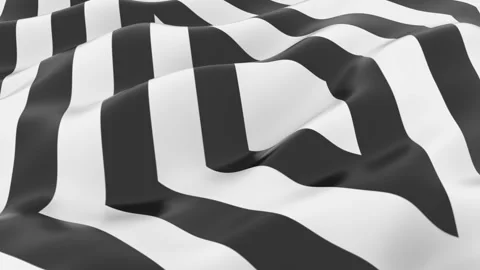 Abstract Black and White Striped Pattern with Wavy Texture Design Vídeos de archivo 341926049