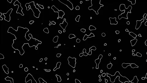 Abstract Black and White Texture Flow Stock Footage 319218846