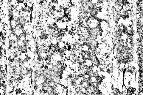 The abstract black and white texture of a moldy, weathered tree trunk Stock Illustration