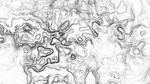 Abstract Black and White Topographic Map Art Stock Footage 335429693