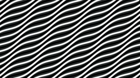 Abstract Black and White Undulating Waves Pattern 库存插图
