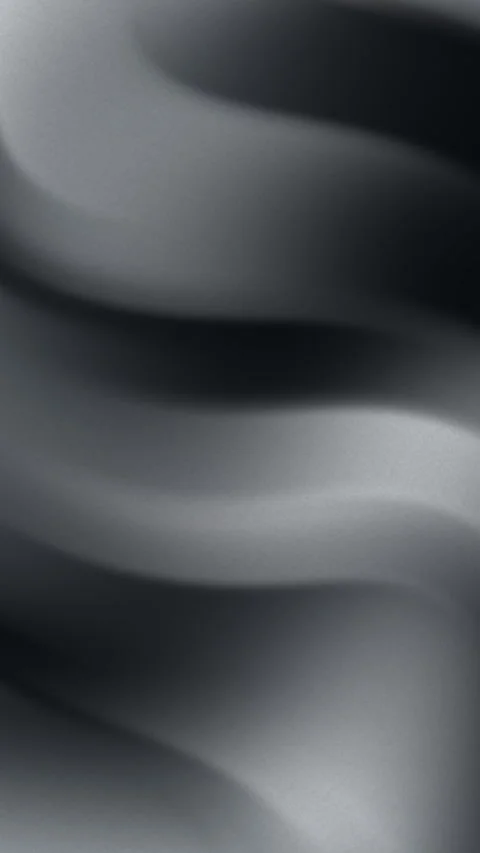 Abstract Black and White Wave Pattern Surface with Subtle Gradients for Bac.. Stock Footage 311468848