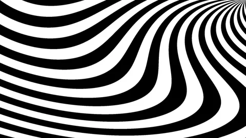 Abstract black and white wavy background animation Stock Footage 274477975