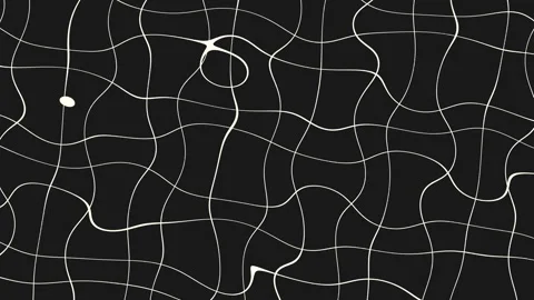 Abstract black and white wavy line pattern drawing Stock Footage 278070062