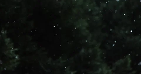 Abstract black background with blurred bokeh Stock Footage 229767879