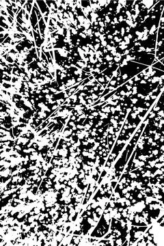 Abstract black background featuring silhouettes of tree branches and plants. イラスト素材