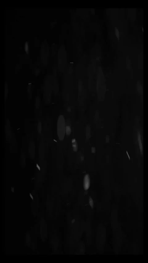 Abstract black background with white particles Stock Footage 339779046
