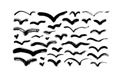 Abstract black birds vector clip arts collection. Stock Illustration