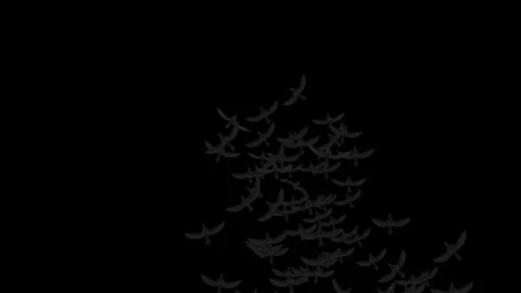 Abstract black crows fly across a black sky. Stock Footage 245941913