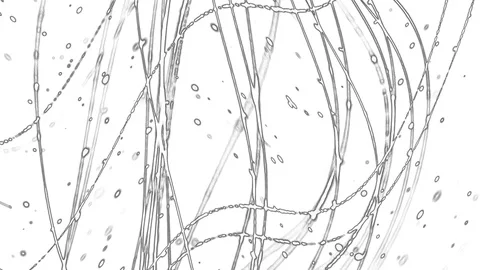 Abstract black curves background on white Stock Footage 127124645