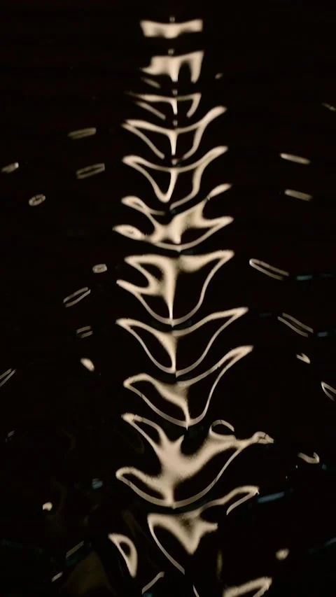Abstract black fluid wave texture with glossy golden symmetry pattern Stock Footage 347802456
