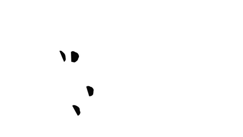 Abstract Black ink drop on a white background for effects with Alpha V7 Stock Footage 94519909