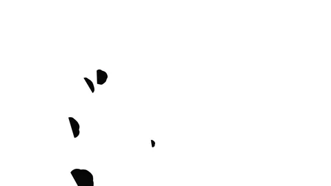 Abstract Black ink drop on a white background for effects with Alpha V8 Stock Footage 94519911
