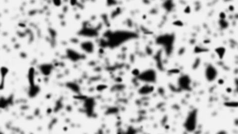 Abstract black ink splatters on white background. 2d animation Stock Footage 345392759
