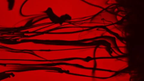 Abstract black lines on a red background. Stock Footage 266053463