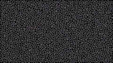 Abstract black mosaic pattern with white geometric lines and cracked textur.. Stock Illustration